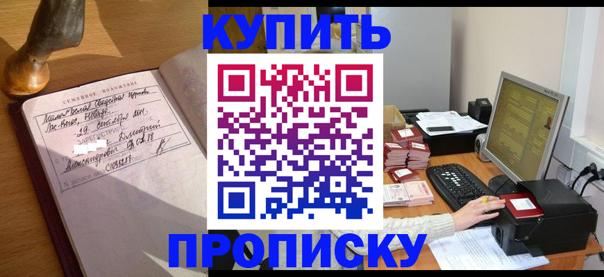 прописка 2025 в Александрове